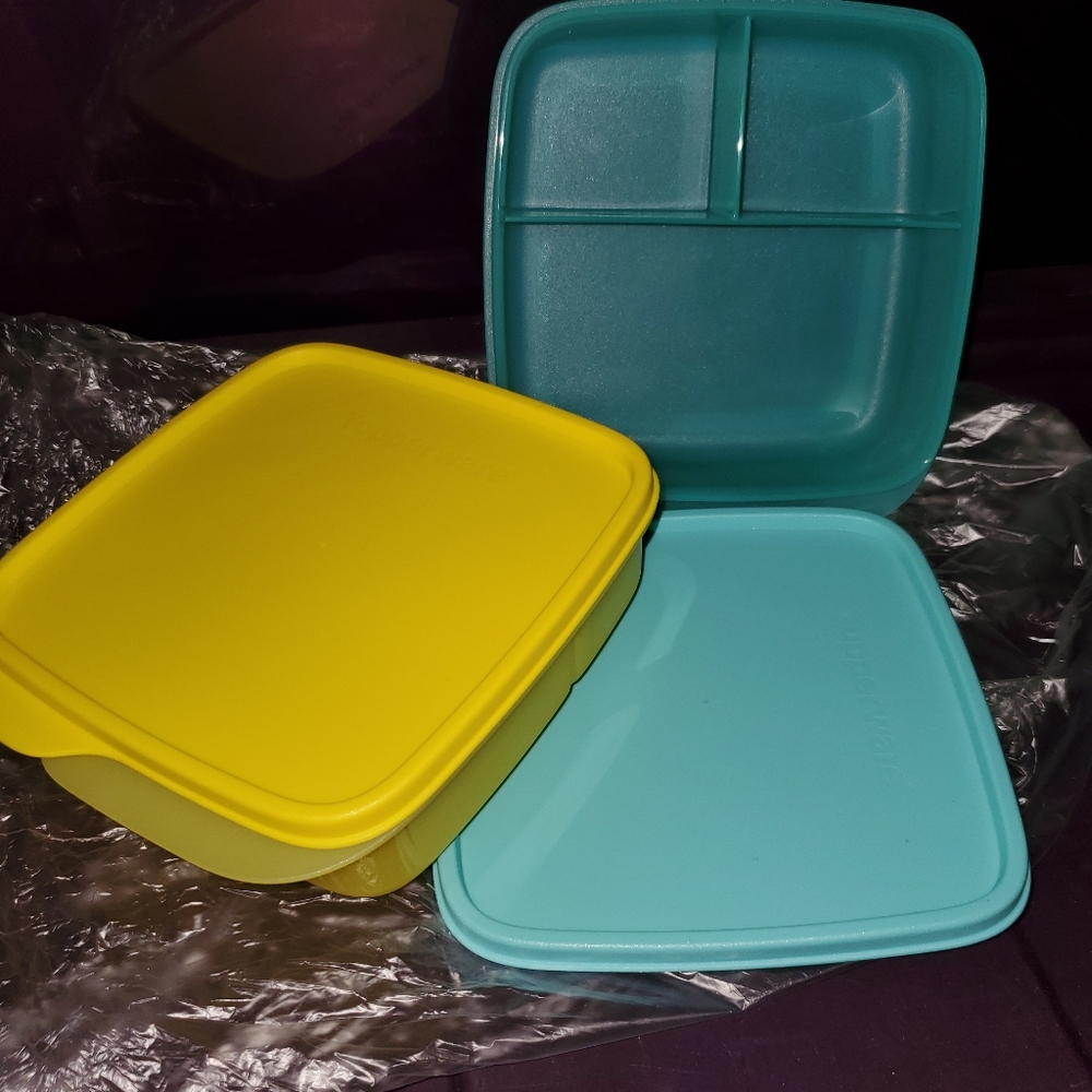 Tupperware Lunch-it Containers 2 pc set